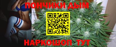 ECSTASY Новодвинск