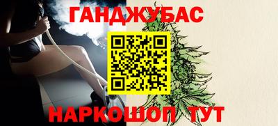 ECSTASY Новодвинск