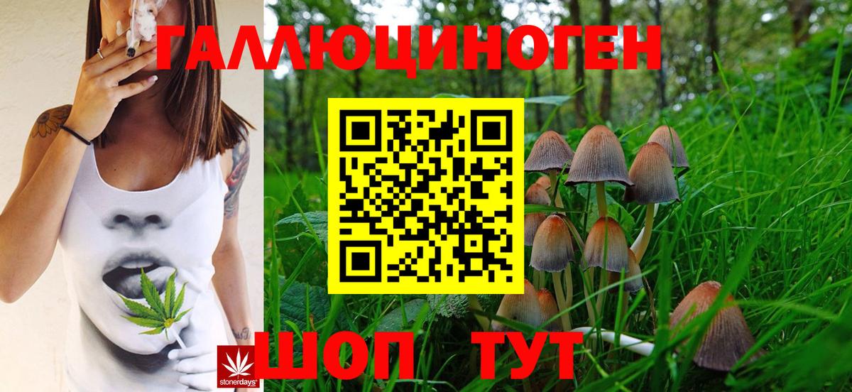 Галлюциногенные грибы MAGIC MUSHROOMS  Вход с VPN  Чернушка 